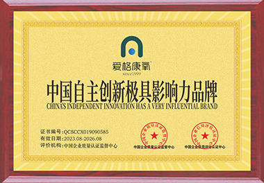 中國(guó)自主創(chuàng)新極具影響力品牌