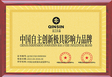 中國(guó)自主創(chuàng)新極具影響力品牌